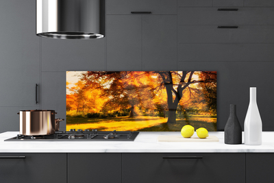 Painel vidro cozinha Árvores Outono Natureza