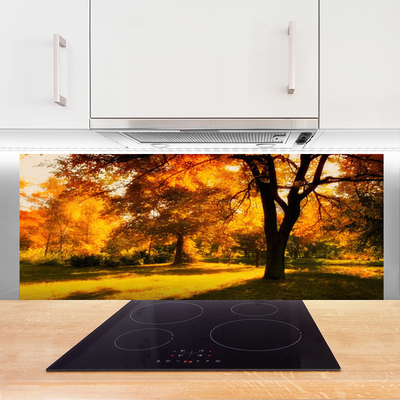Painel vidro cozinha Árvores Outono Natureza