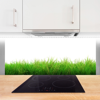 Painel cozinha Natureza da planta grama