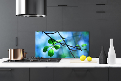 Painel vidro cozinha Ramo Folhas Planta Natureza