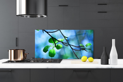 Painel vidro cozinha Ramo Folhas Planta Natureza