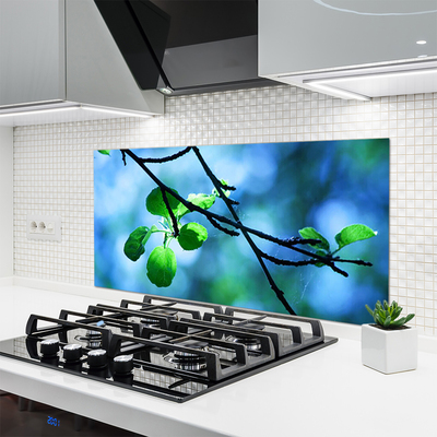 Painel vidro cozinha Ramo Folhas Planta Natureza