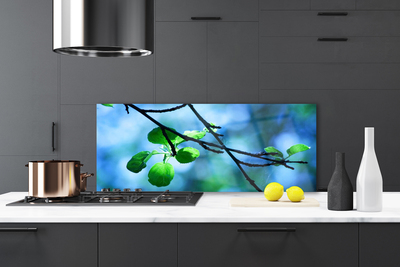 Painel vidro cozinha Ramo Folhas Planta Natureza