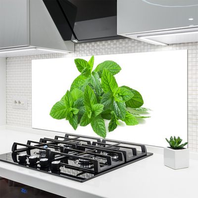 Painel vidro cozinha Planta de Hortelã Natureza