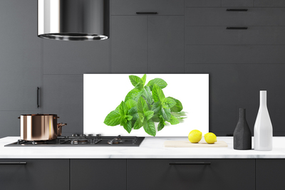 Painel vidro cozinha Planta de Hortelã Natureza