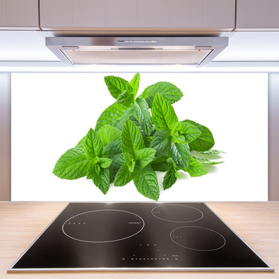 Painel vidro cozinha Planta de Hortelã Natureza