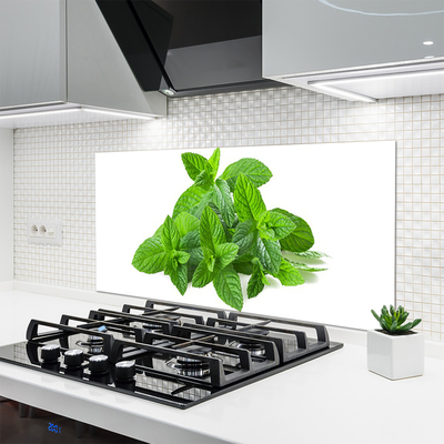 Painel vidro cozinha Planta de Hortelã Natureza