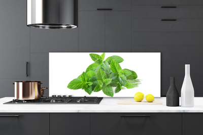 Painel vidro cozinha Planta de Hortelã Natureza
