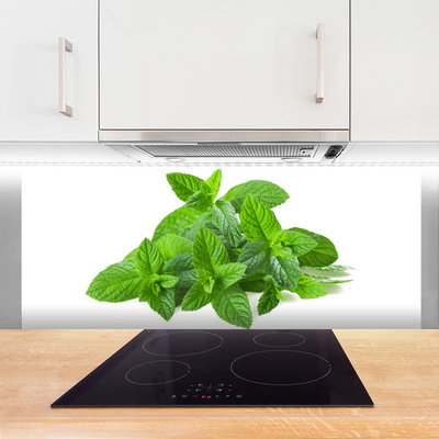 Painel vidro cozinha Planta de Hortelã Natureza
