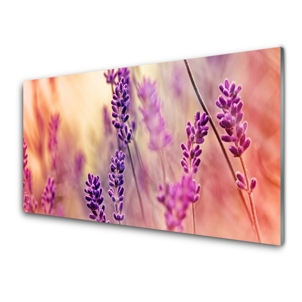 Painel cozinha Flores Planta Natureza