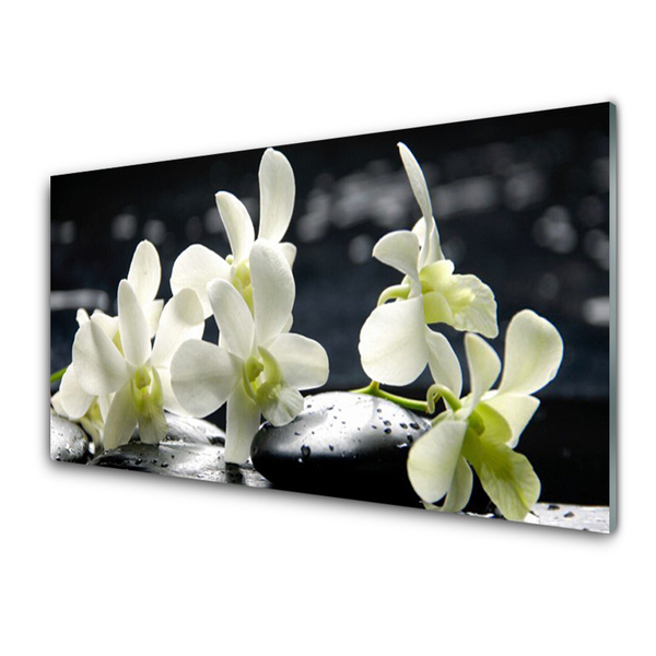 Painel vidro cozinha Planta de orquídea flor