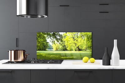 Painel vidro cozinha Parque das Árvores de Grama Natureza