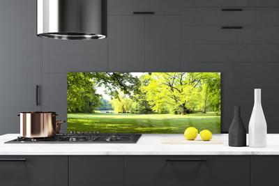 Painel vidro cozinha Parque das Árvores de Grama Natureza