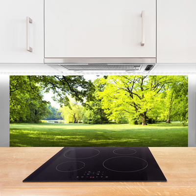 Painel vidro cozinha Parque das Árvores de Grama Natureza