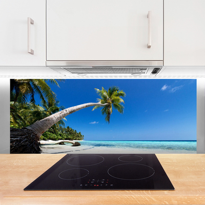 Painel cozinha Praia Palmeira Mar Paisagem
