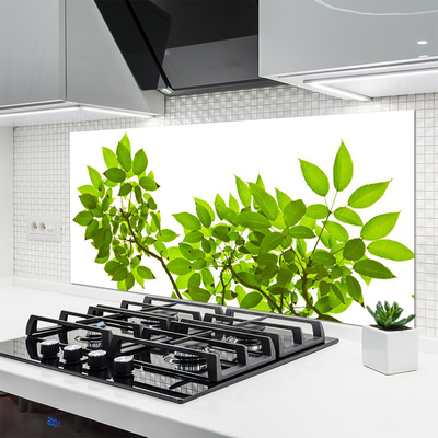 Painel vidro cozinha Ramo Folhas Planta Natureza