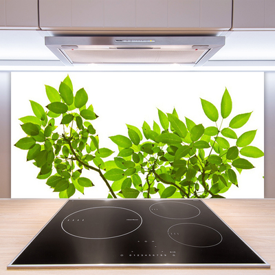 Painel vidro cozinha Ramo Folhas Planta Natureza