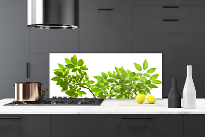 Painel vidro cozinha Ramo Folhas Planta Natureza