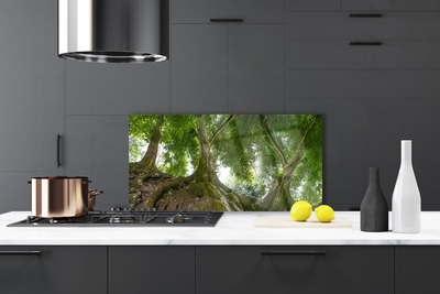 Painel cozinha Árvores Plantam Natureza