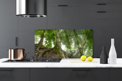 Painel cozinha Árvores Plantam Natureza