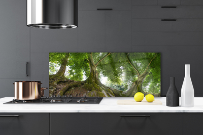 Painel cozinha Árvores Plantam Natureza