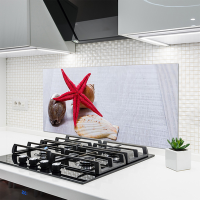 Painel vidro cozinha Arte de conchas de estrelas do mar