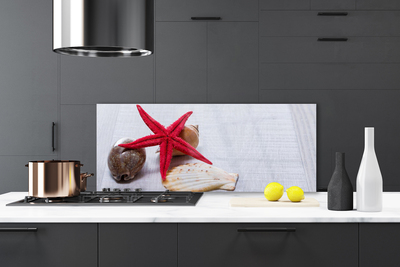 Painel vidro cozinha Arte de conchas de estrelas do mar
