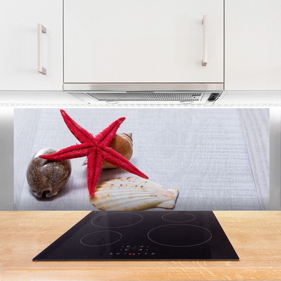 Painel vidro cozinha Arte de conchas de estrelas do mar