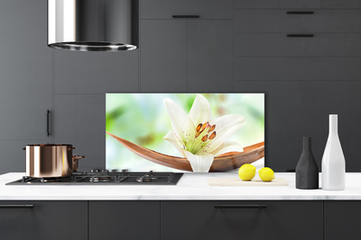 Painel cozinha Flor Planta Natureza