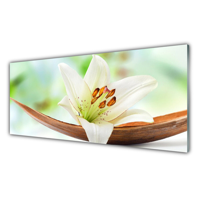 Painel cozinha Flor Planta Natureza