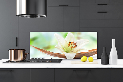 Painel cozinha Flor Planta Natureza