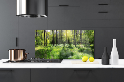 Painel cozinha Planta de grama florestal Natureza