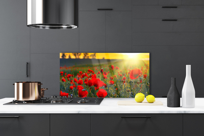 Painel vidro cozinha Papoulas do Prado Plantam Natureza