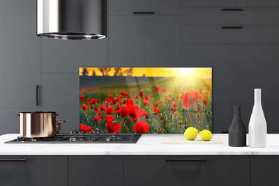 Painel vidro cozinha Papoulas do Prado Plantam Natureza