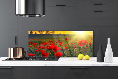 Painel vidro cozinha Papoulas do Prado Plantam Natureza