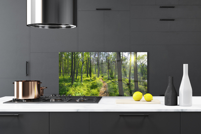 Painel vidro cozinha Caminho da Floresta Caminho Natureza