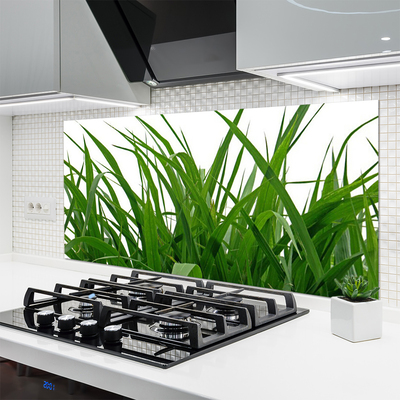 Painel vidro cozinha Natureza da planta grama