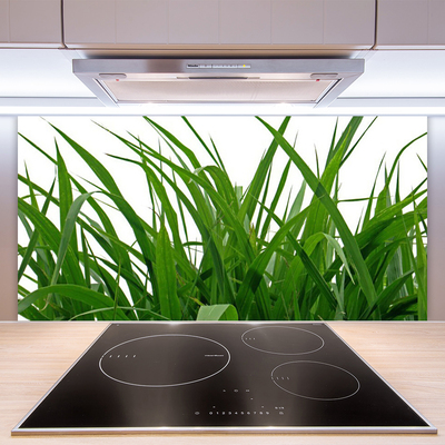 Painel vidro cozinha Natureza da planta grama