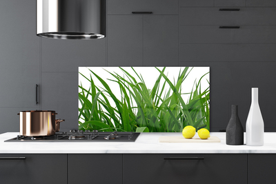 Painel vidro cozinha Natureza da planta grama