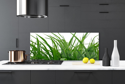 Painel vidro cozinha Natureza da planta grama