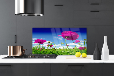 Painel cozinha Flores do Prado Céu Natureza