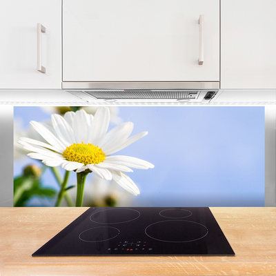 Painel vidro cozinha Natureza da planta margarida