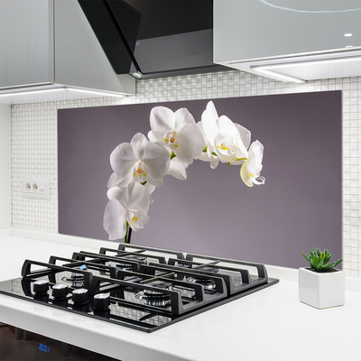 Painel cozinha Flores Planta Natureza