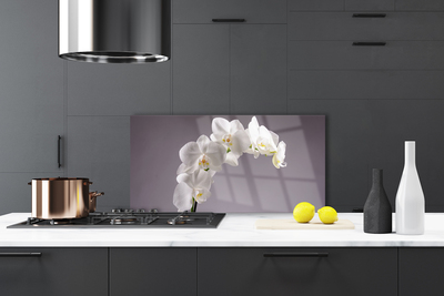 Painel cozinha Flores Planta Natureza