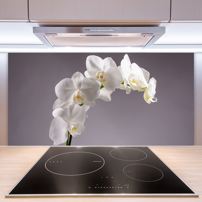 Painel cozinha Flores Planta Natureza