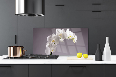 Painel cozinha Flores Planta Natureza