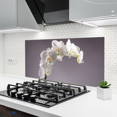 Painel cozinha Flores Planta Natureza