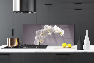 Painel cozinha Flores Planta Natureza