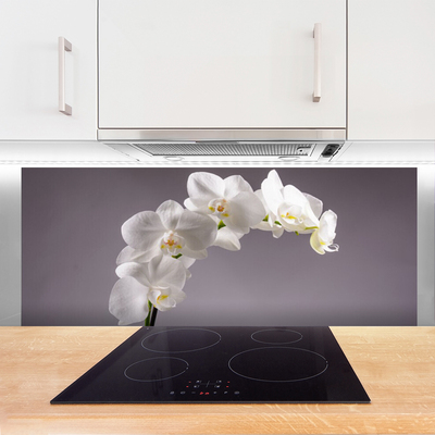 Painel cozinha Flores Planta Natureza