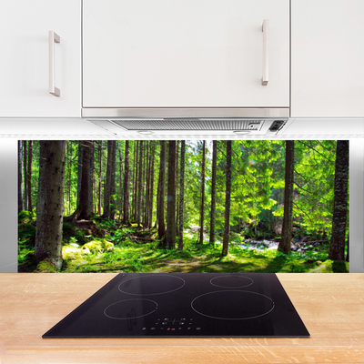 Painel cozinha Árvores da Floresta Plantam a Natureza